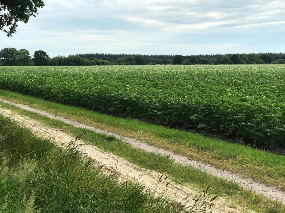Het Uilennest Bed and Breakfast Exloo Buitenkant foto