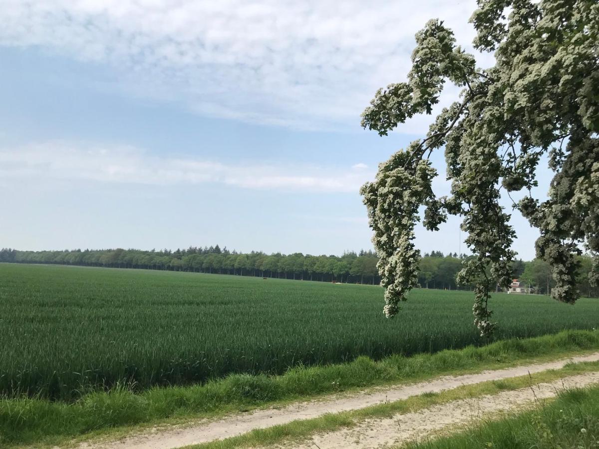 Het Uilennest Bed and Breakfast Exloo Buitenkant foto