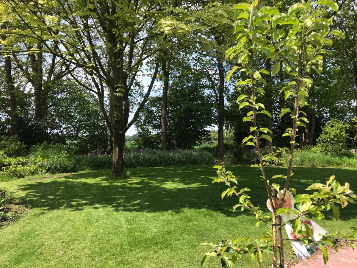 Het Uilennest Bed and Breakfast Exloo Buitenkant foto